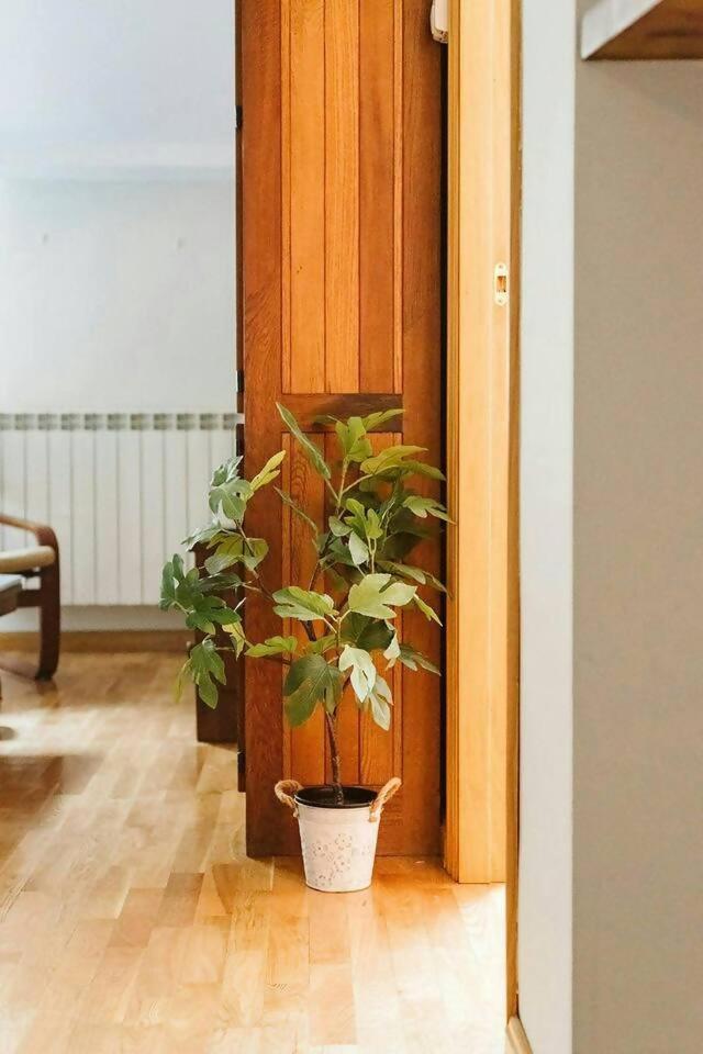 Casa Begona By Cardi Apartment Sallent de Gállego